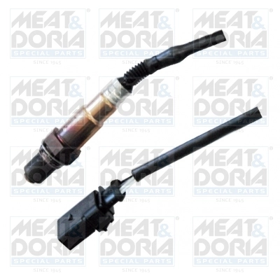 Oxygen Sensor